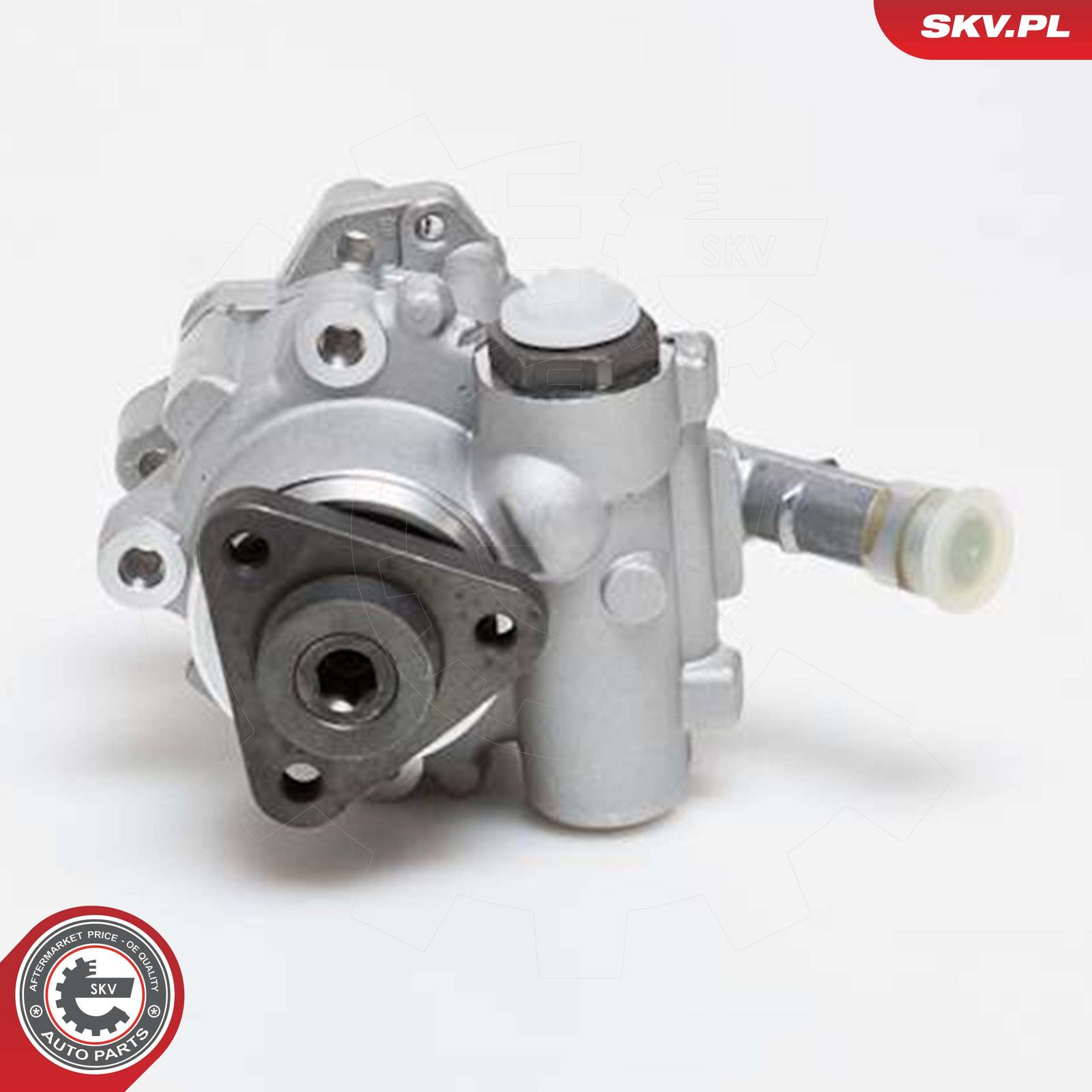 ESEN SKV 10SKV129 Hydraulic pump, steering