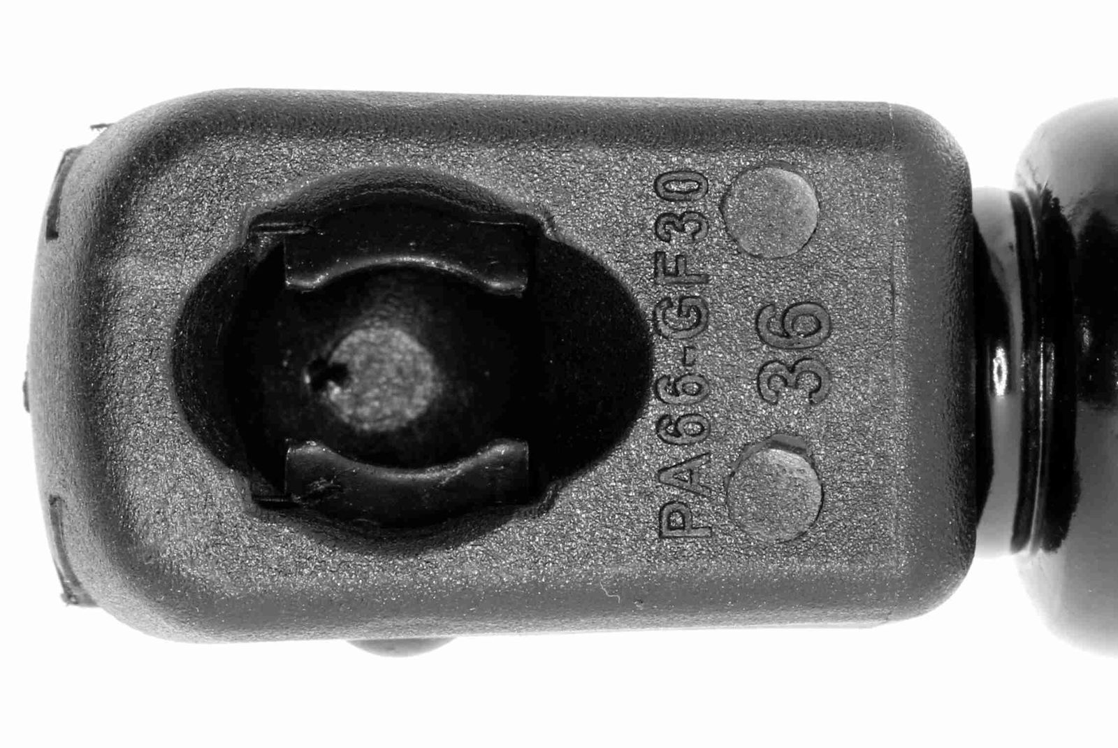 Gas Spring, boot/cargo area-2