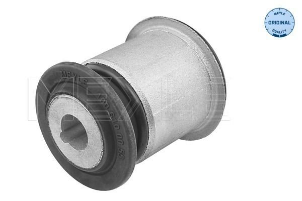 Mounting, control/trailing arm
