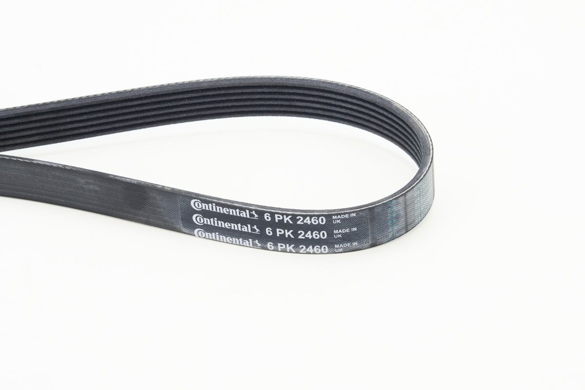 CONTINENTAL CTAM 6PK2460 V-ribbed belt