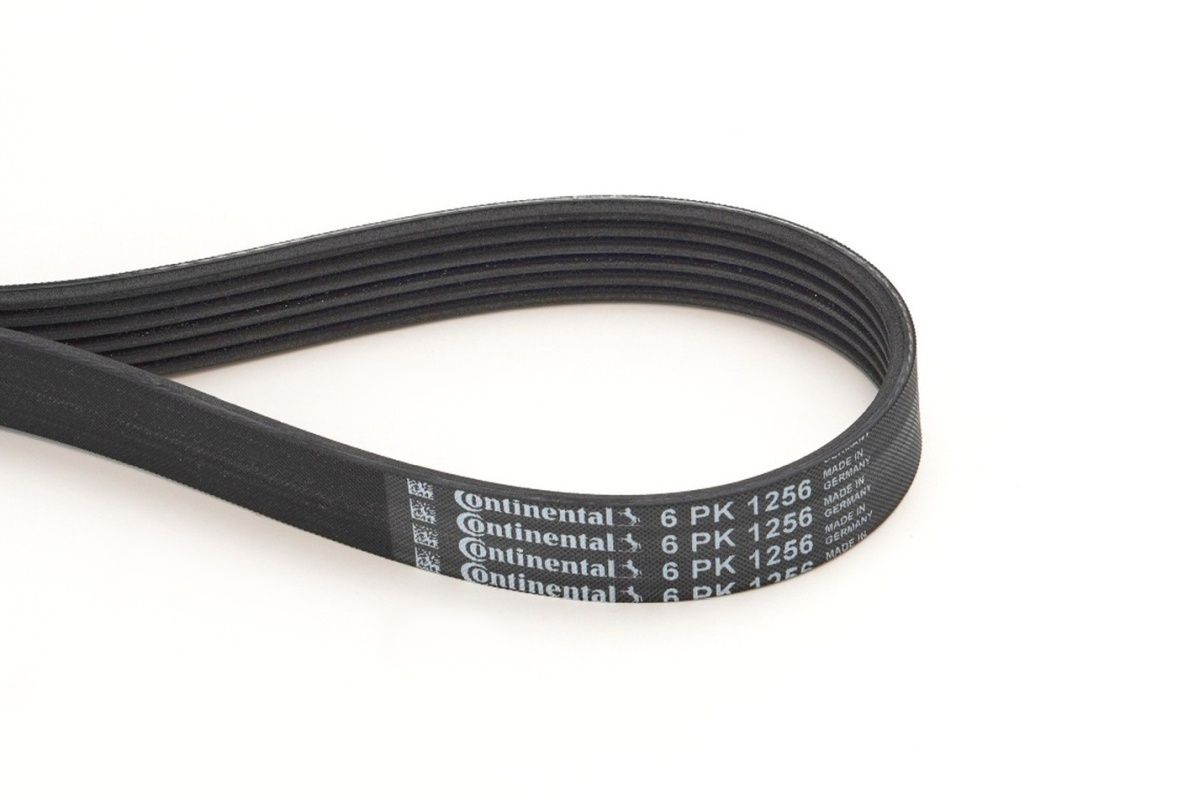 CONTINENTAL CTAM 6PK1256 V-ribbed belt