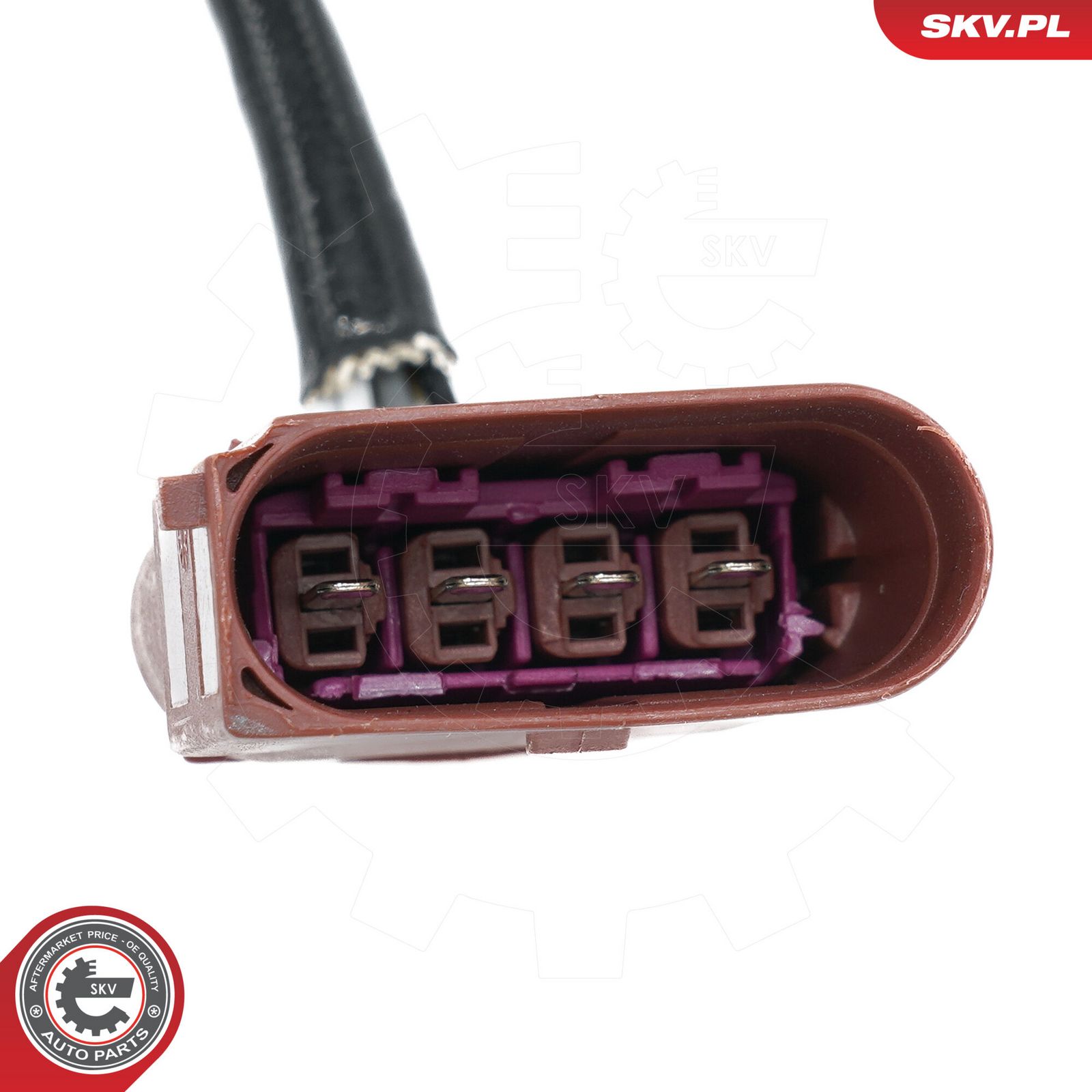 Oxygen Sensor-2