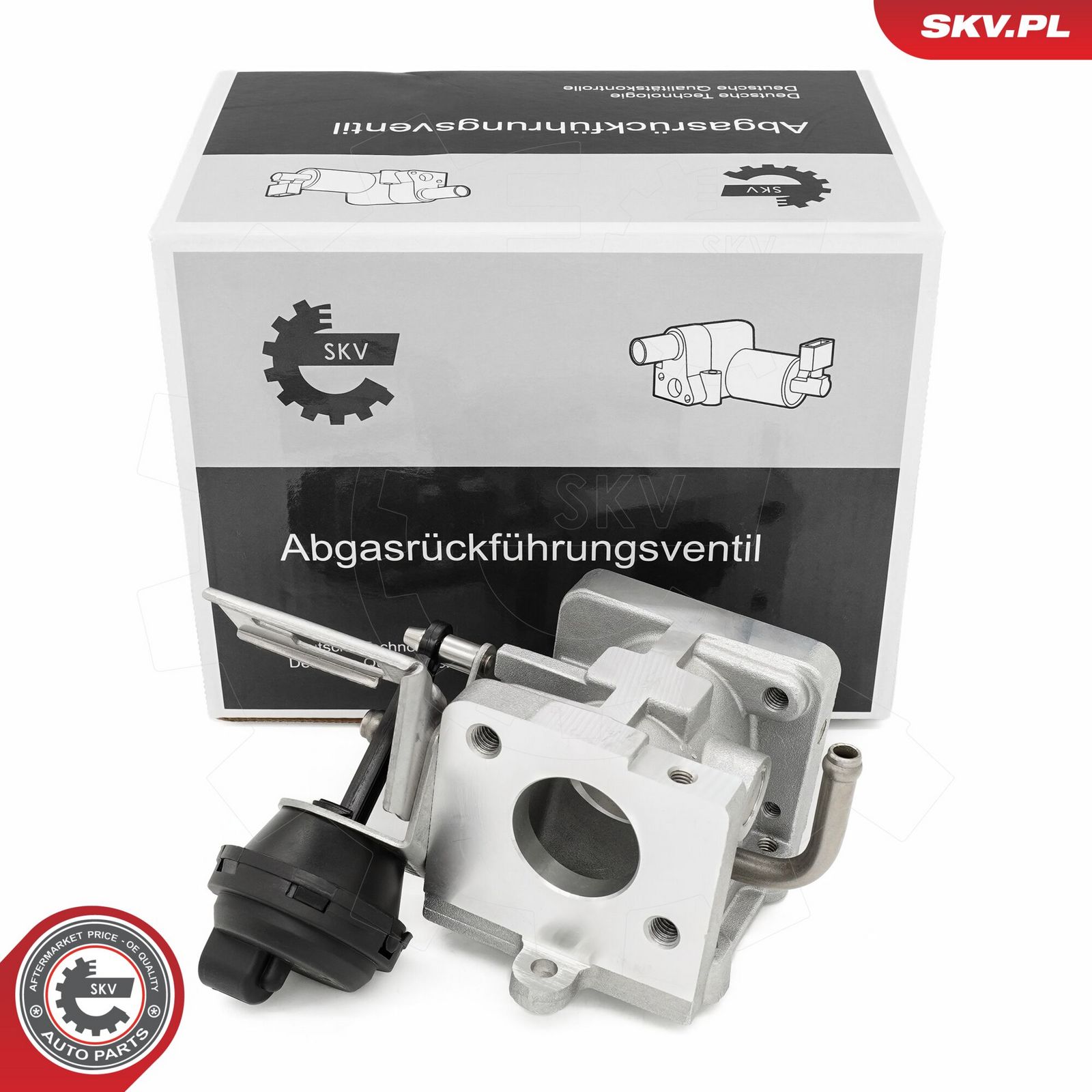 EGR Valve-5