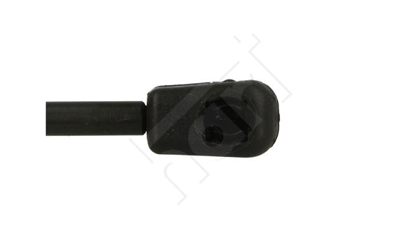 dujinė spyruoklė, bagažinė-1