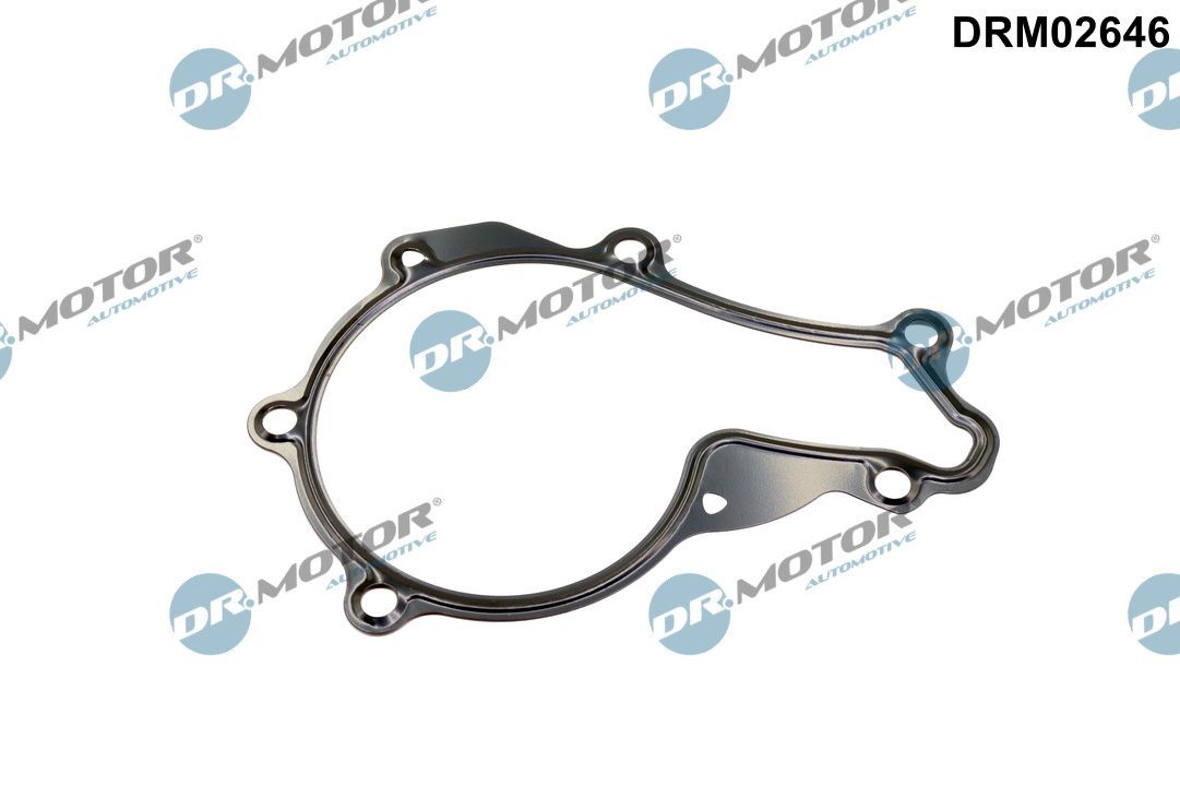 DR.MOTOR AUTOMOTIVE DRM02646 Gasket, water pump