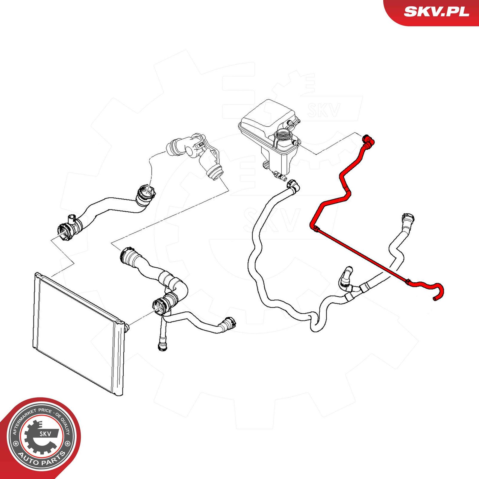 Radiator Hose-2
