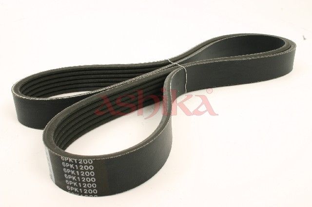 ASHIKA 112-6PK1200 V-ribbed belt