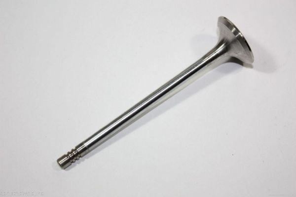 AUTOMEGA 130107410 Exhaust valve