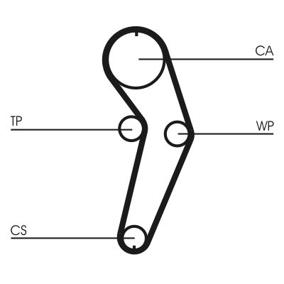 Water Pump & Timing Belt Kit-1