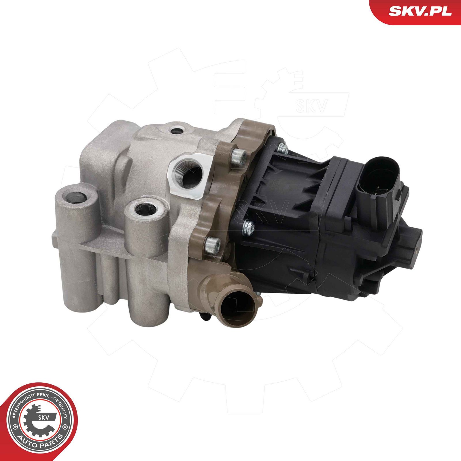EGR Valve-3