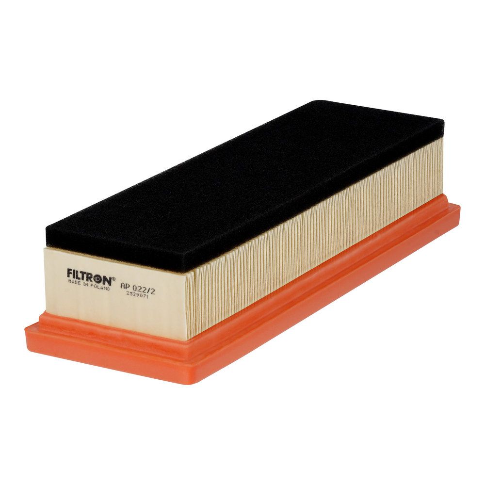 FILTRON AP 022/2 Air filter
