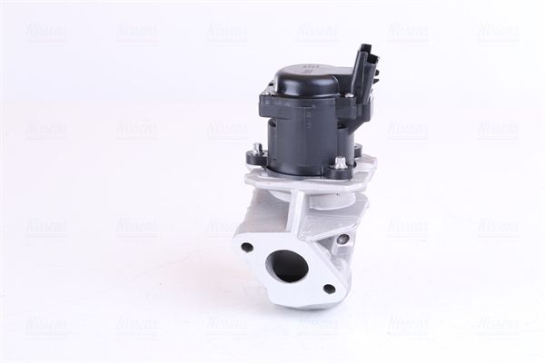 EGR Valve-1