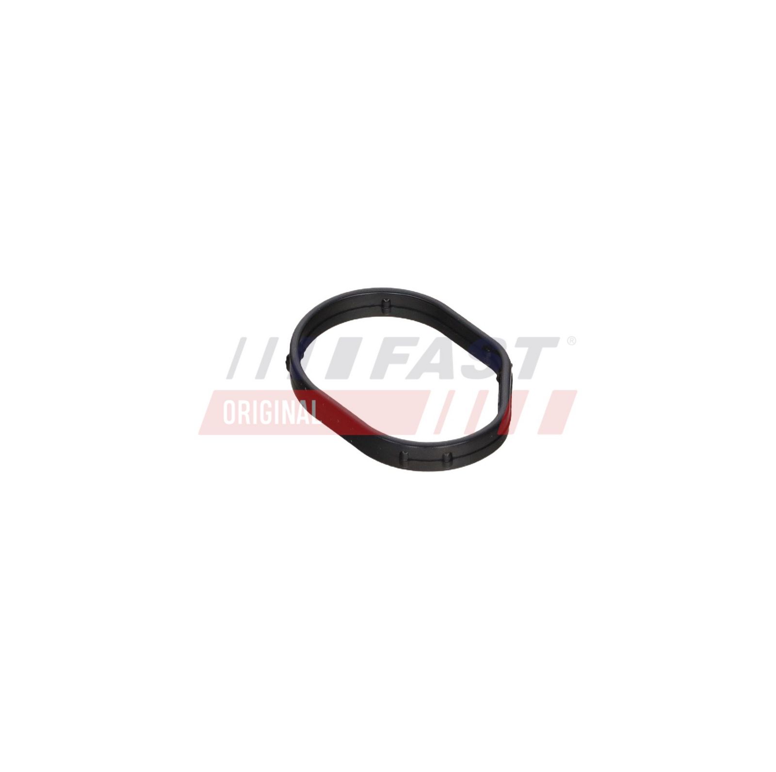 FAST FT16424 Gasket, timing case
