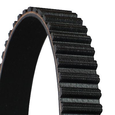 Timing Belt-1