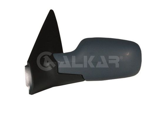 Exterior Mirror