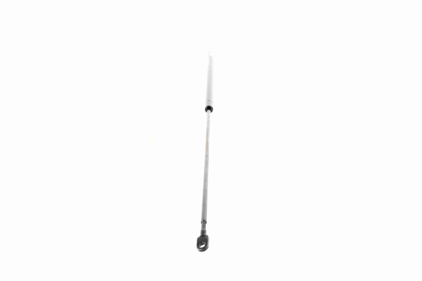 Gas Spring, bonnet-5