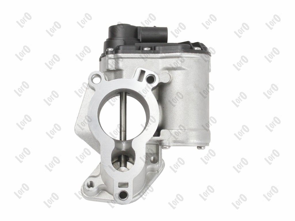 EGR Valve-3