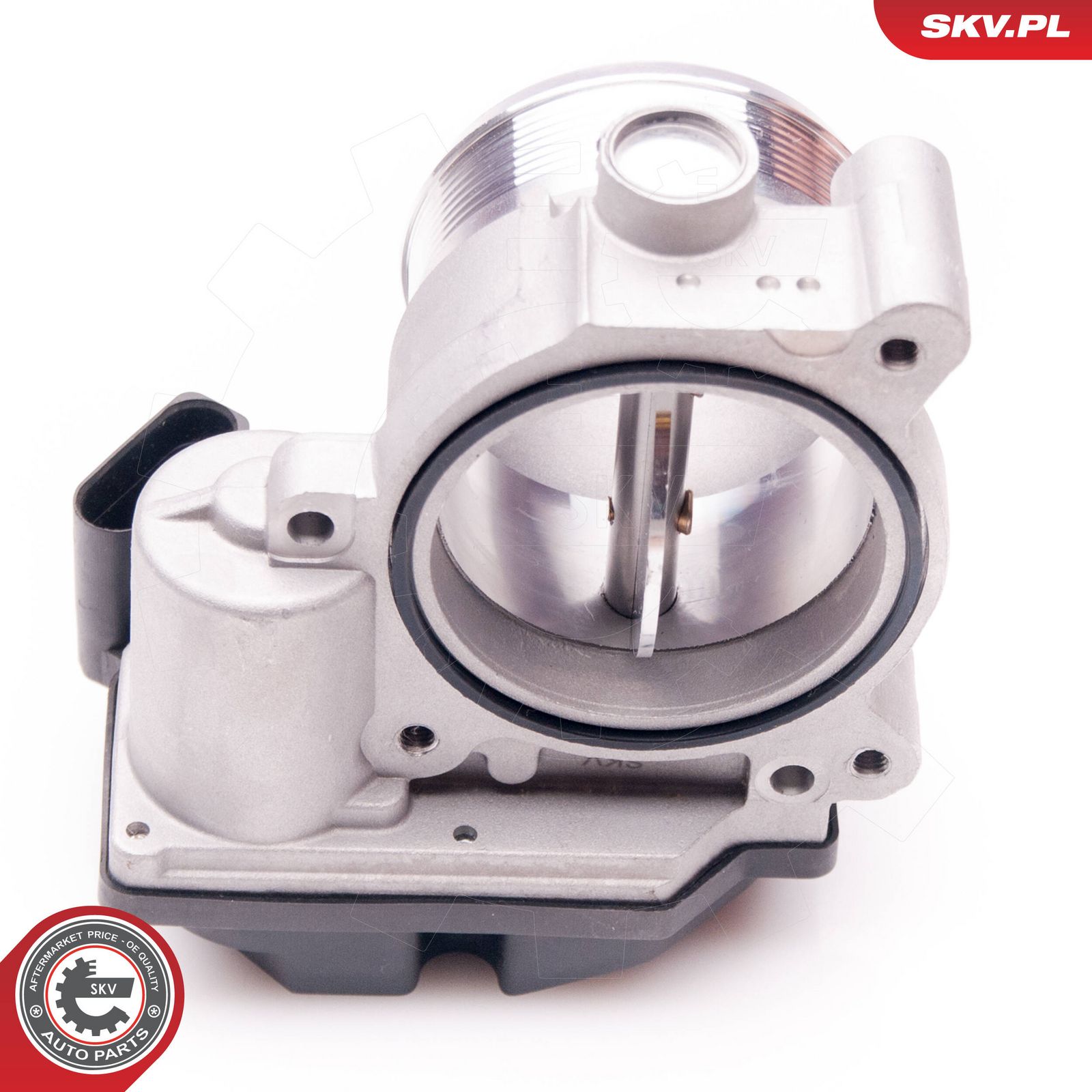 Throttle Body-1