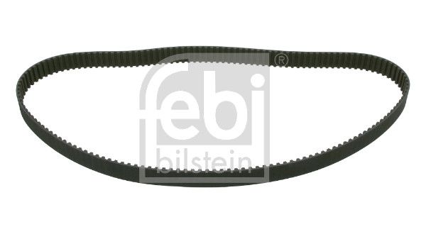 Timing Belt
