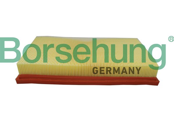 BORSEHUNG B19095 Air filter
