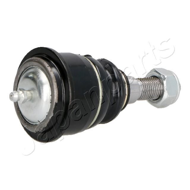 Šarnyras / girgždukas-2