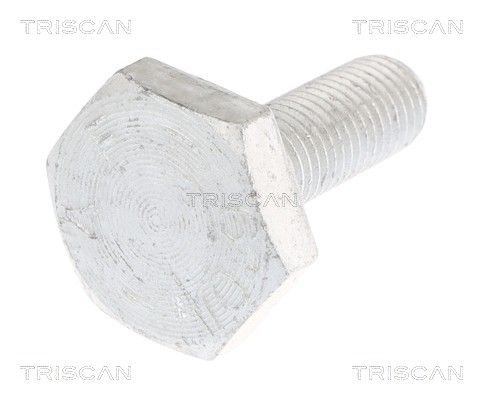TRISCAN 8501 0520 Fastening bolt, control arm