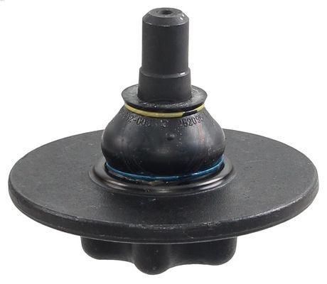 Šarnyras / girgždukas