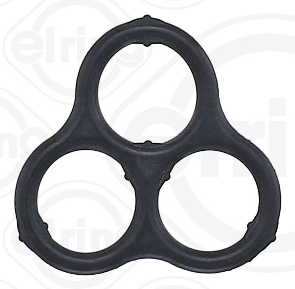 Gasket, timing case-1