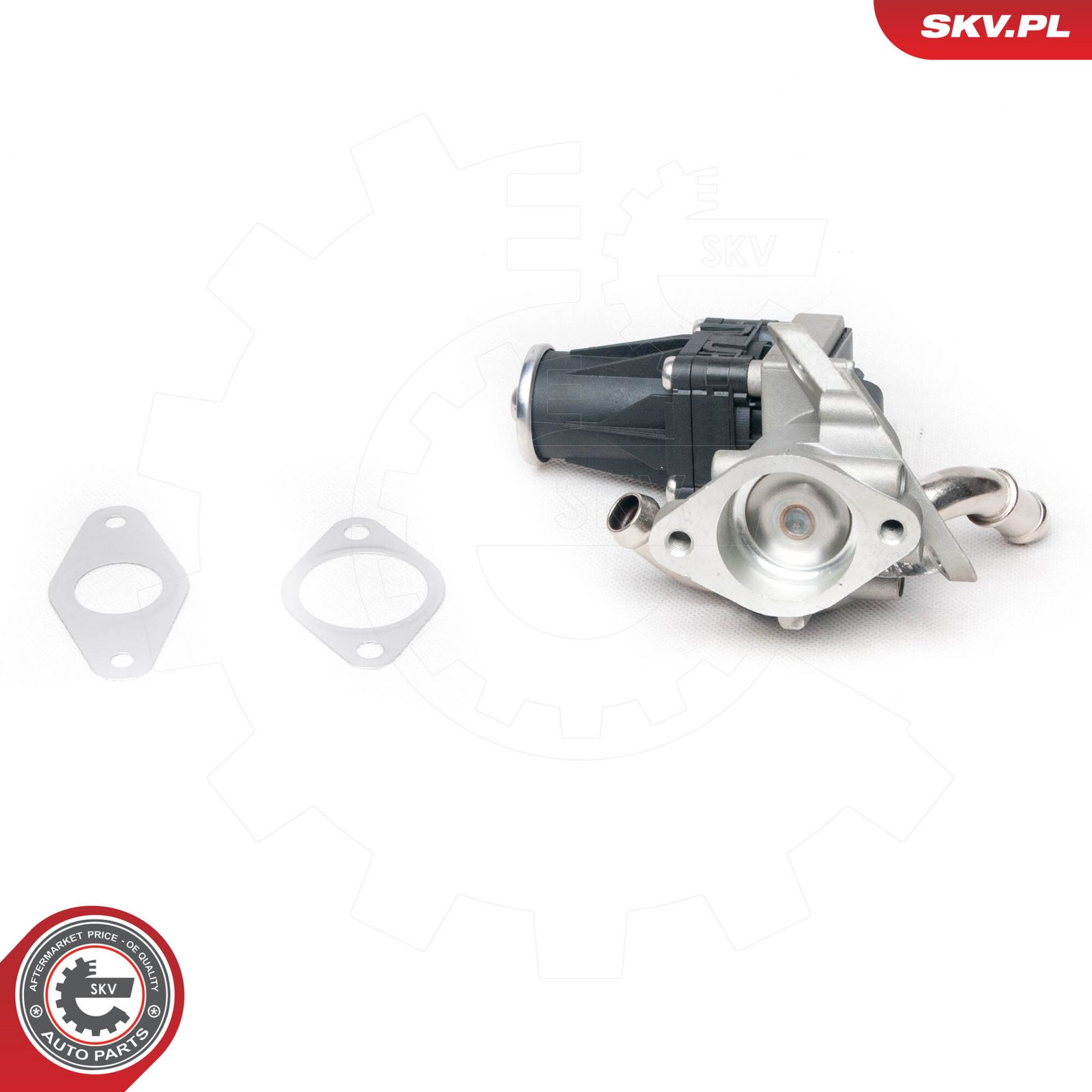 EGR Valve-5