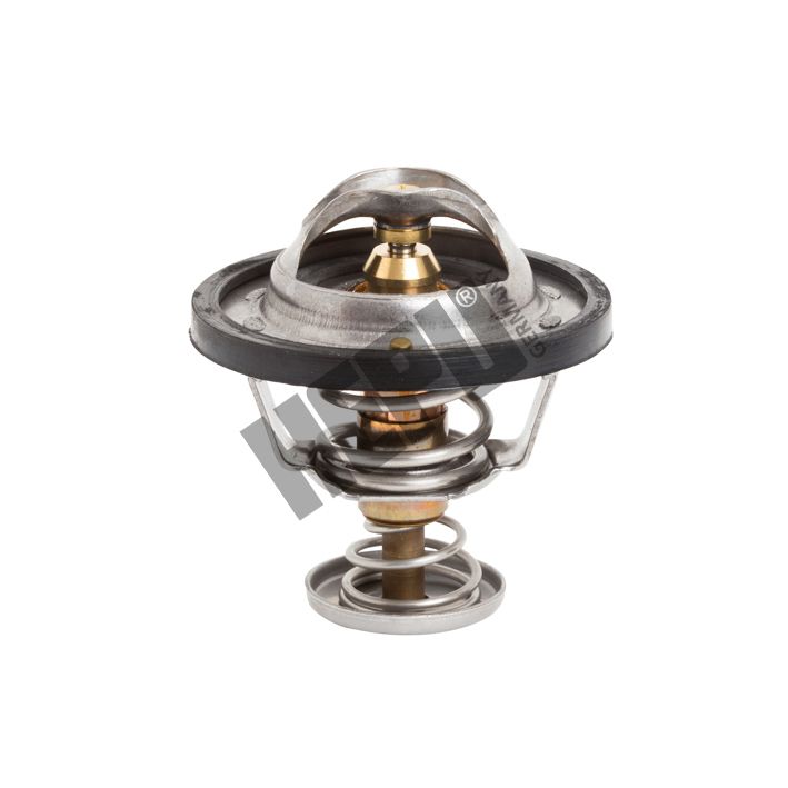 HEPU TM1204 Thermostat, coolant