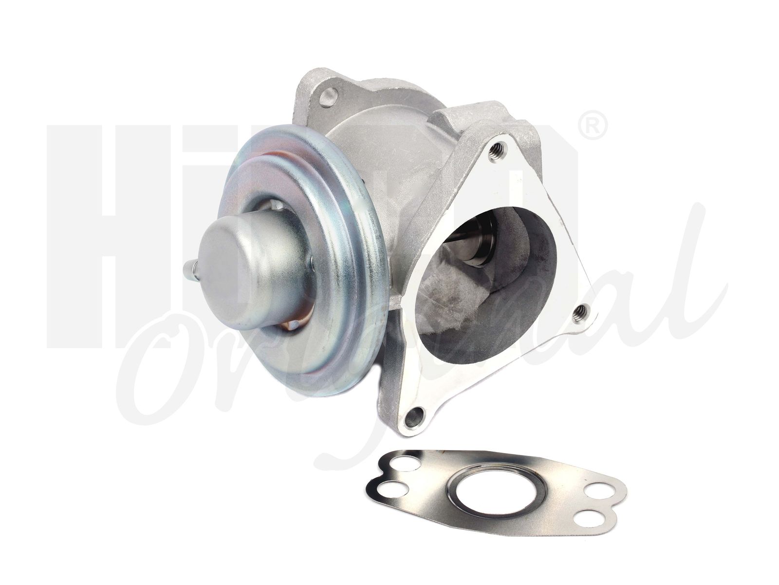 EGR Valve