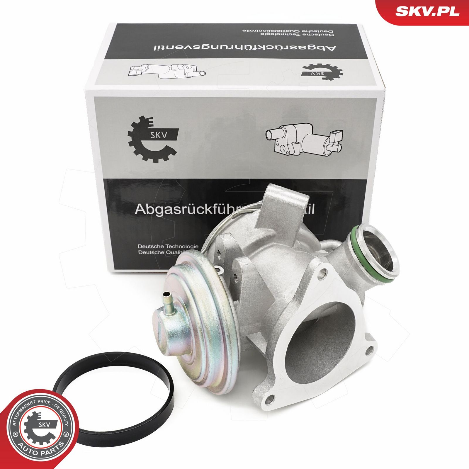 EGR Valve-6