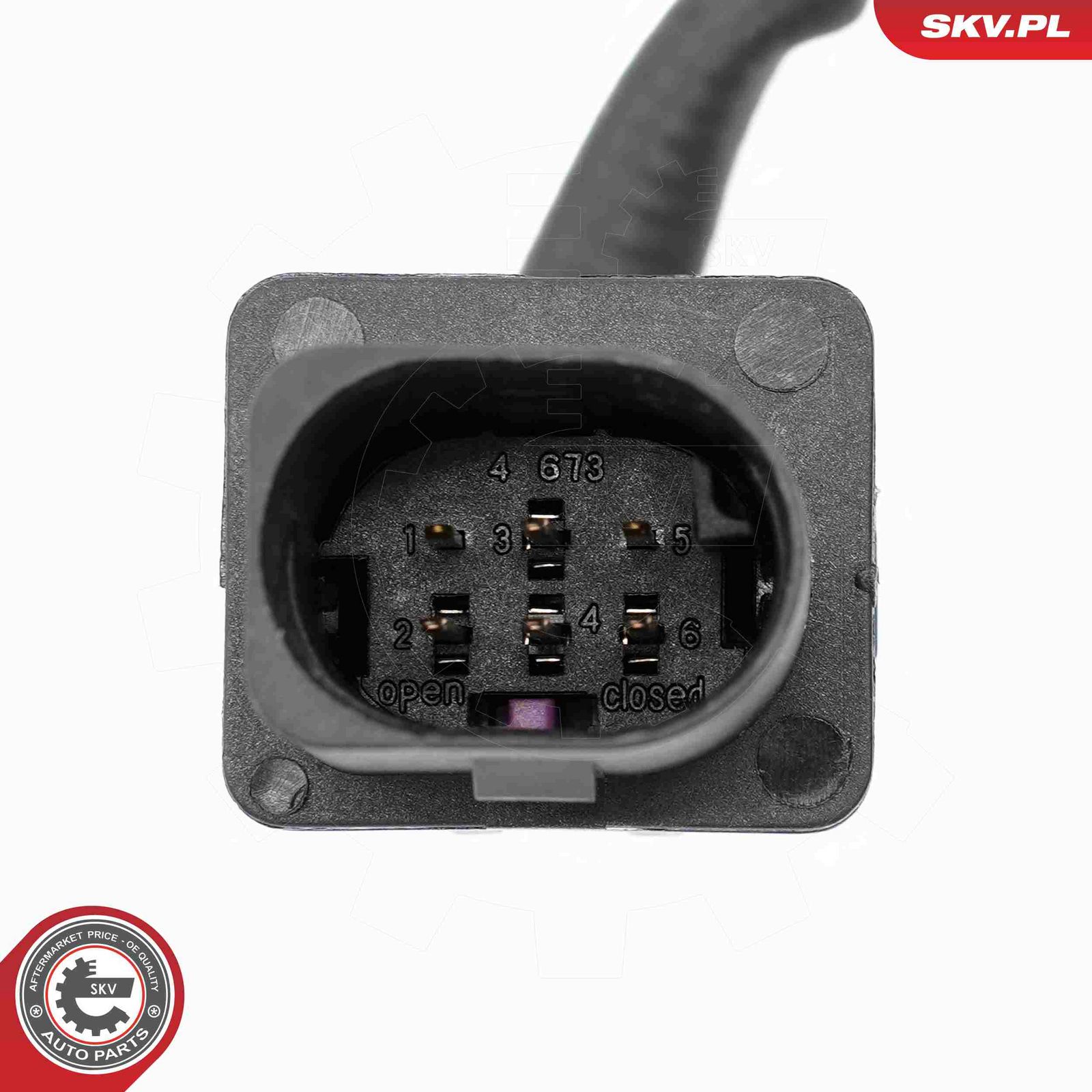 Oxygen Sensor-2