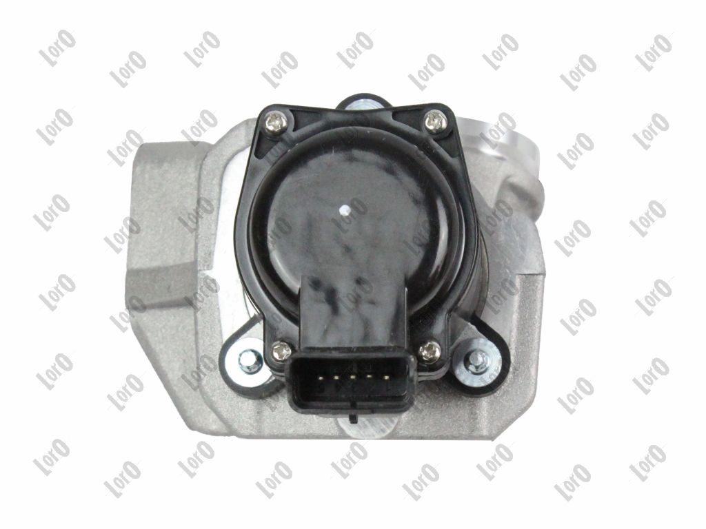 EGR Valve-5