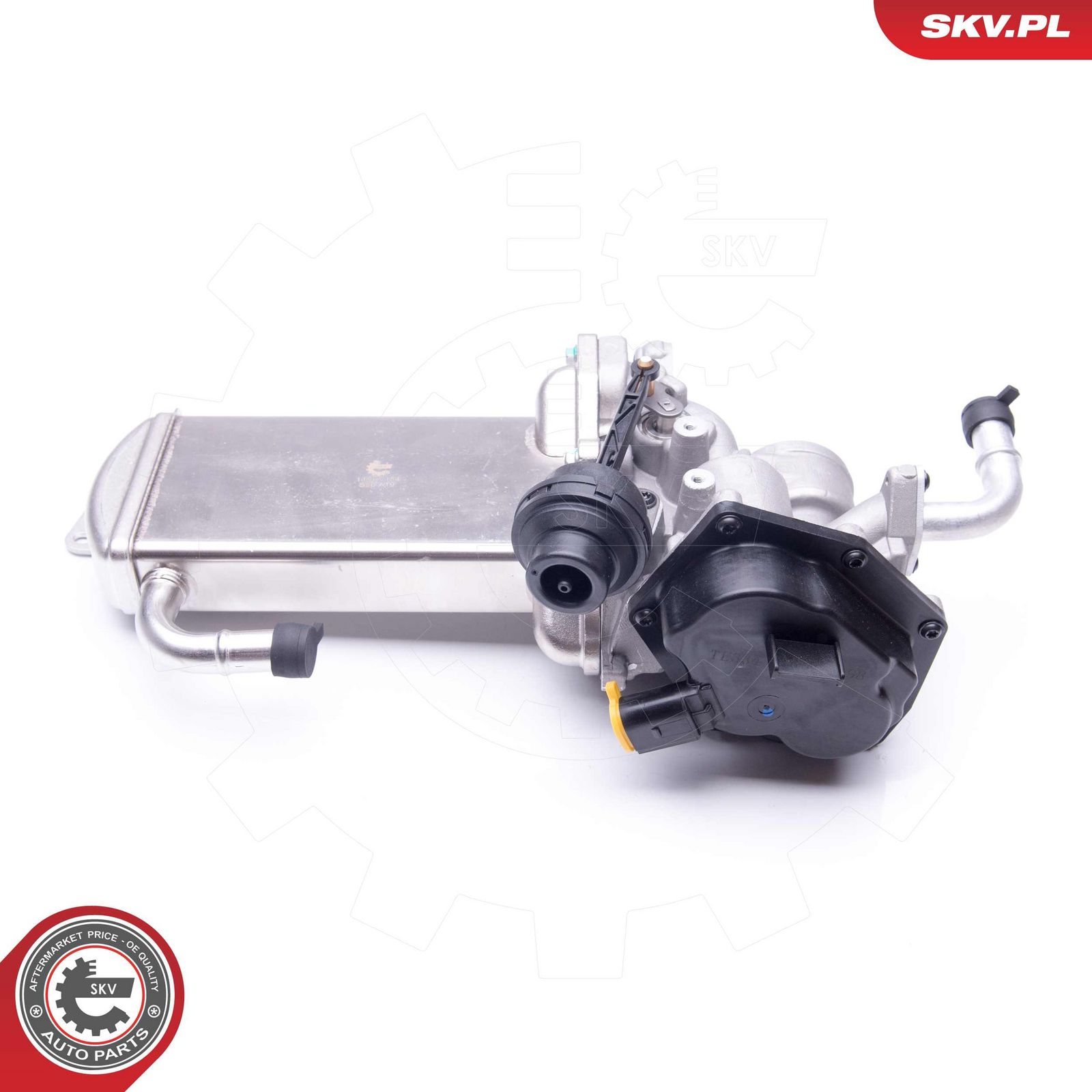 EGR Valve-5