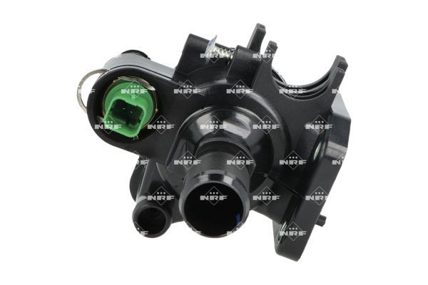 termostatas, aušinimo skystis-1