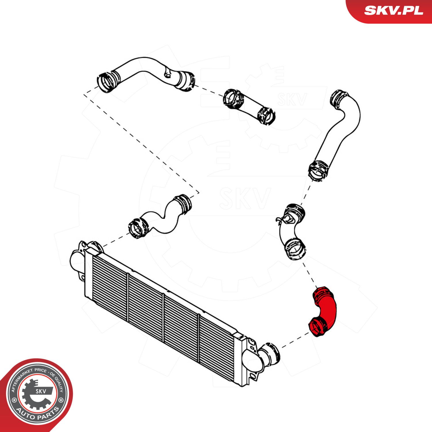 Charge Air Hose-2