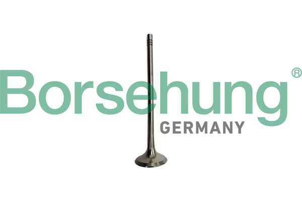 BORSEHUNG B10335 Exhaust valve
