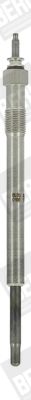 BORGWARNER (BERU) GN939 Glow plug