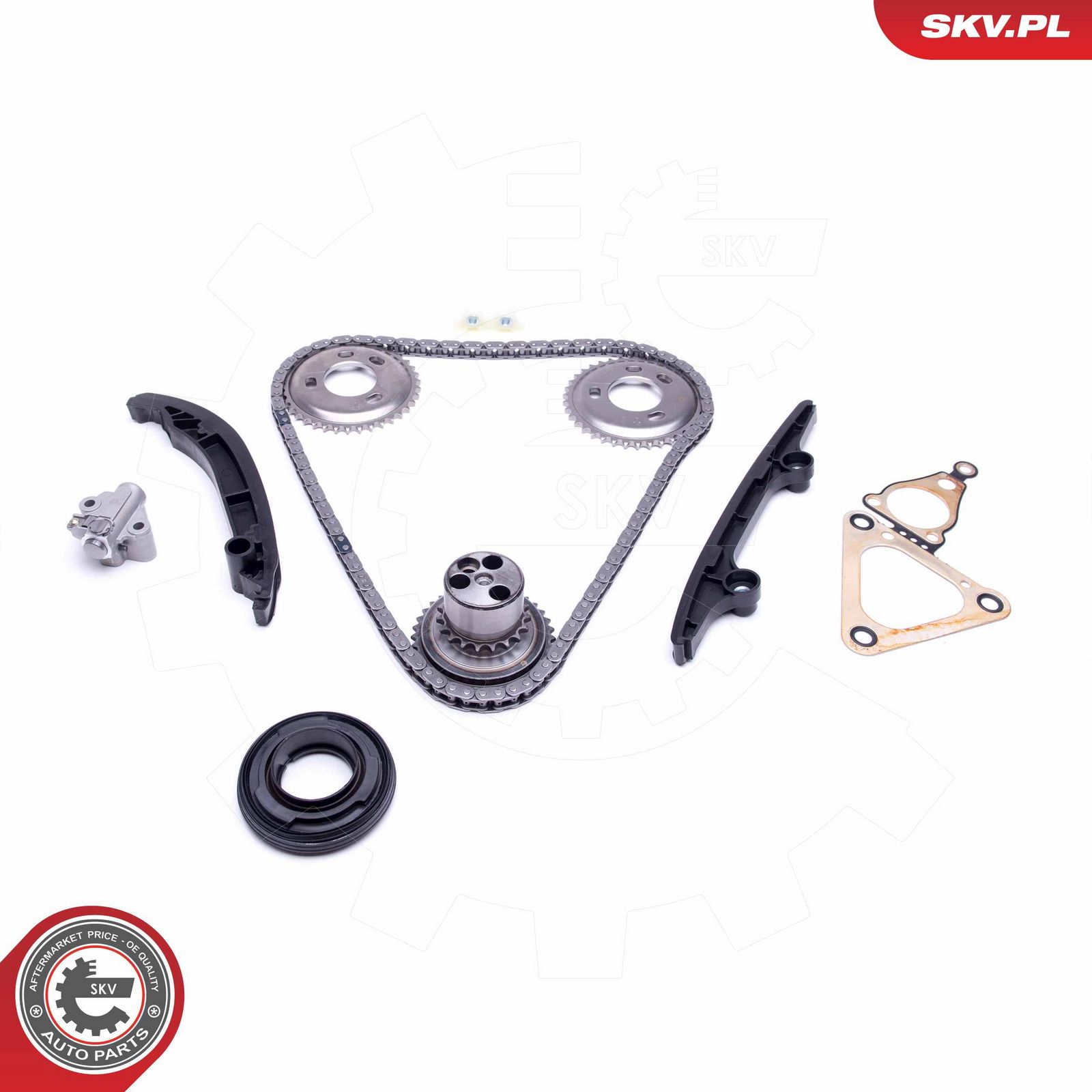ESEN SKV 21SKV119 Timing chain kit