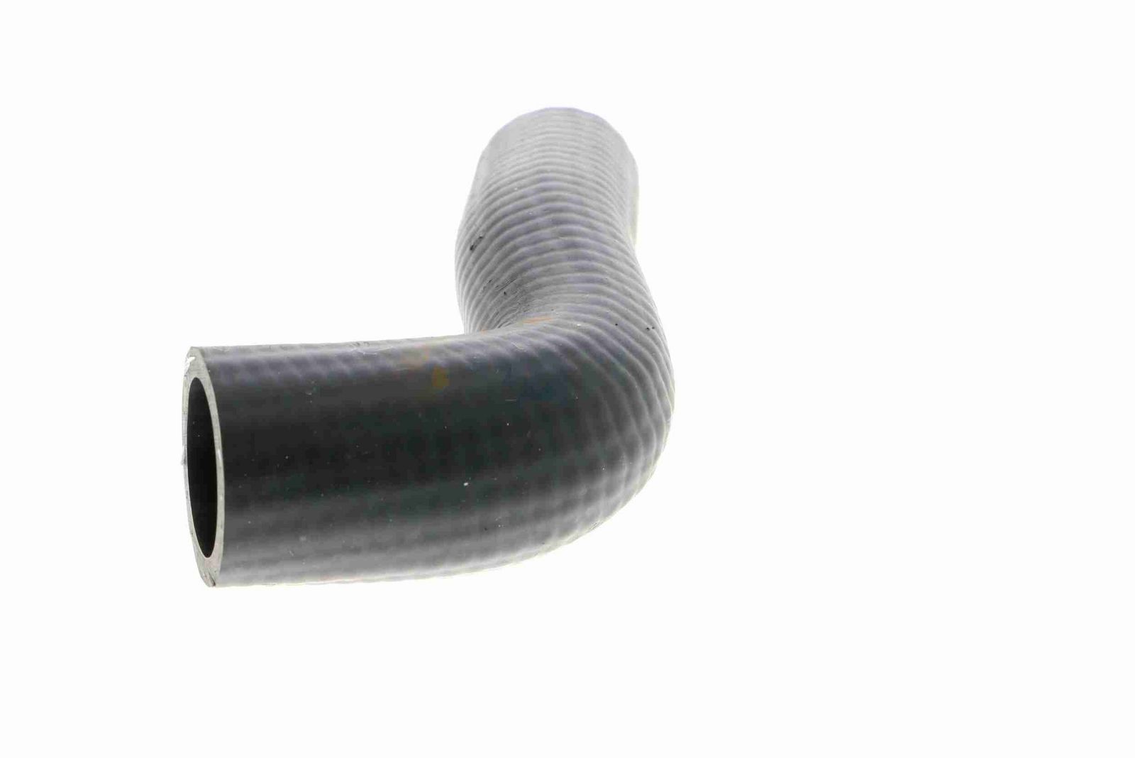 Radiator Hose-3