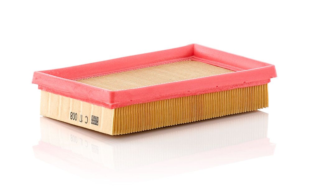 MANN-FILTER C 17 008 Air filter