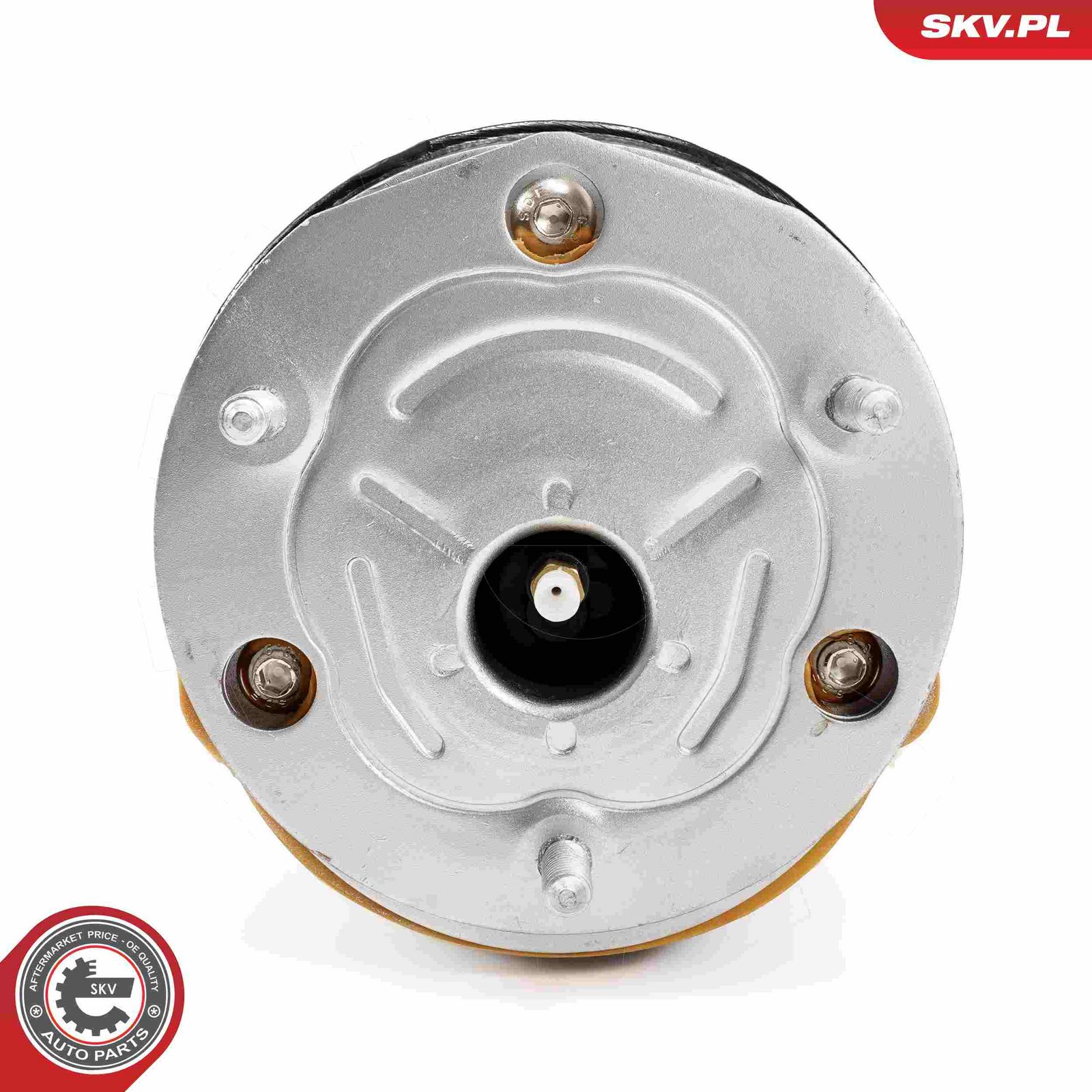Air Suspension Strut-3