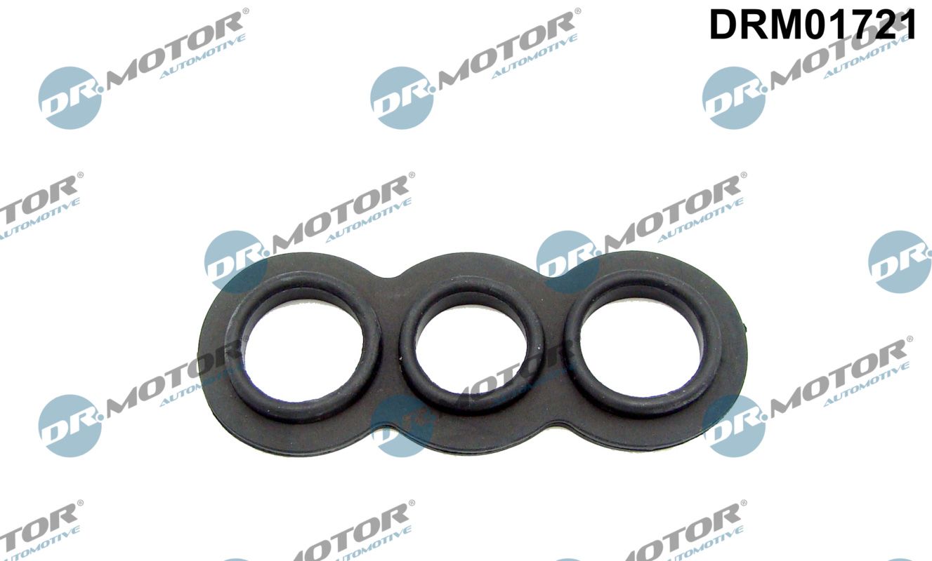 DR.MOTOR AUTOMOTIVE DRM01721 Gasket, thermostat (oil cooling)