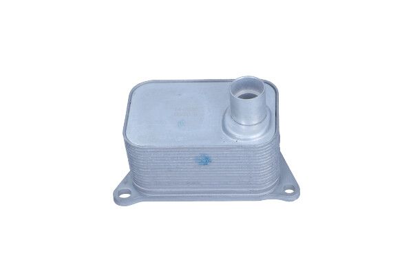 MAXGEAR 14-0036 Oil cooler, engine oil