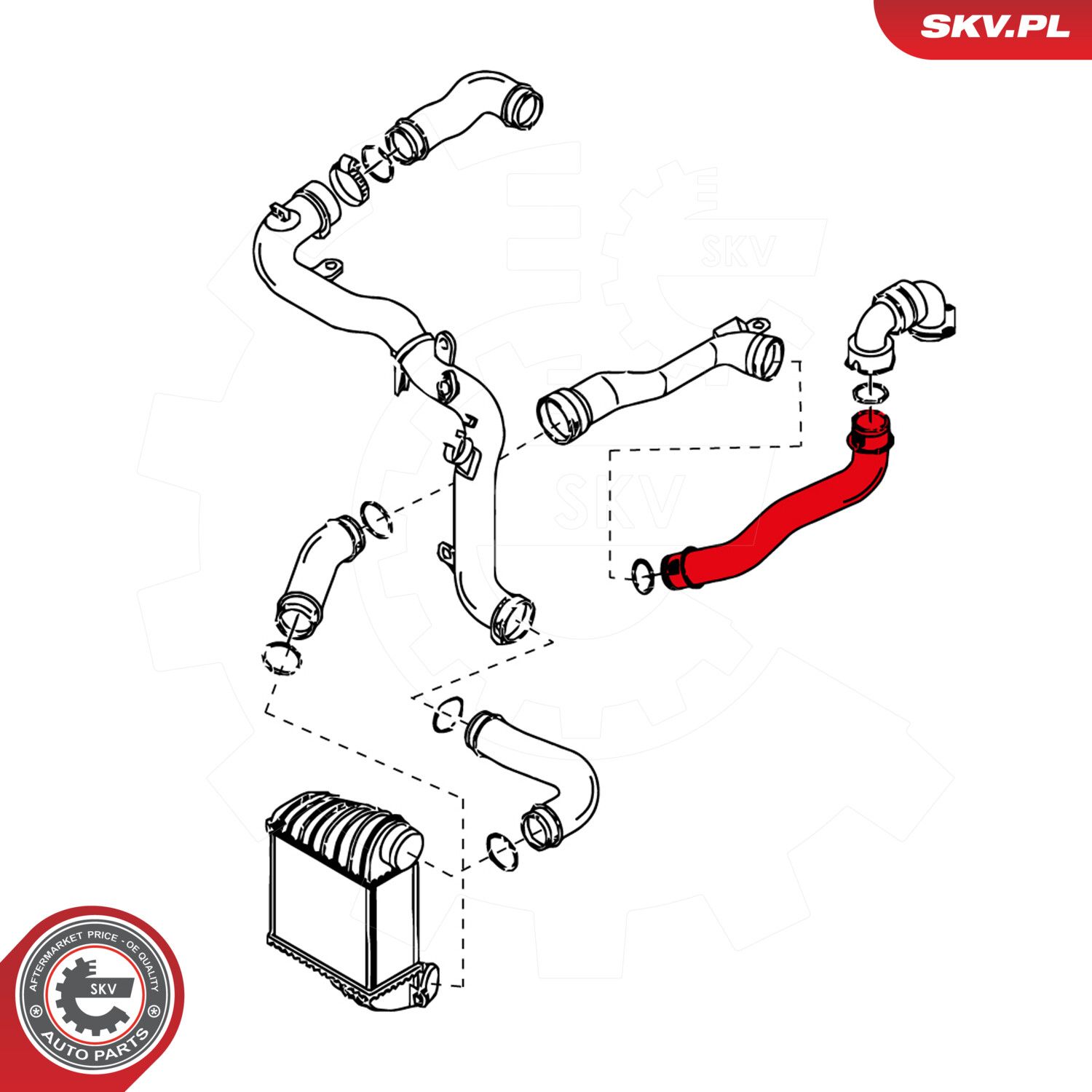 Charge Air Hose-1