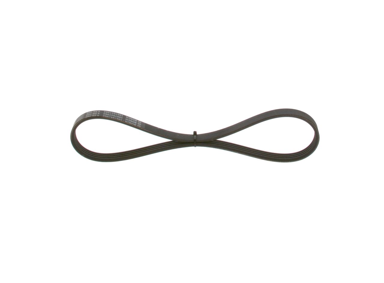 V-ribbed Belt