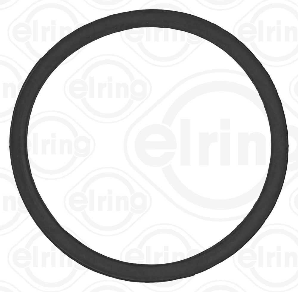 Seal Ring-1