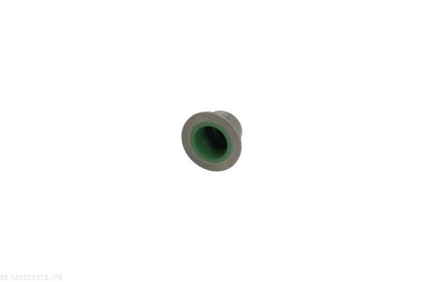 Seal Ring, valve stem-1
