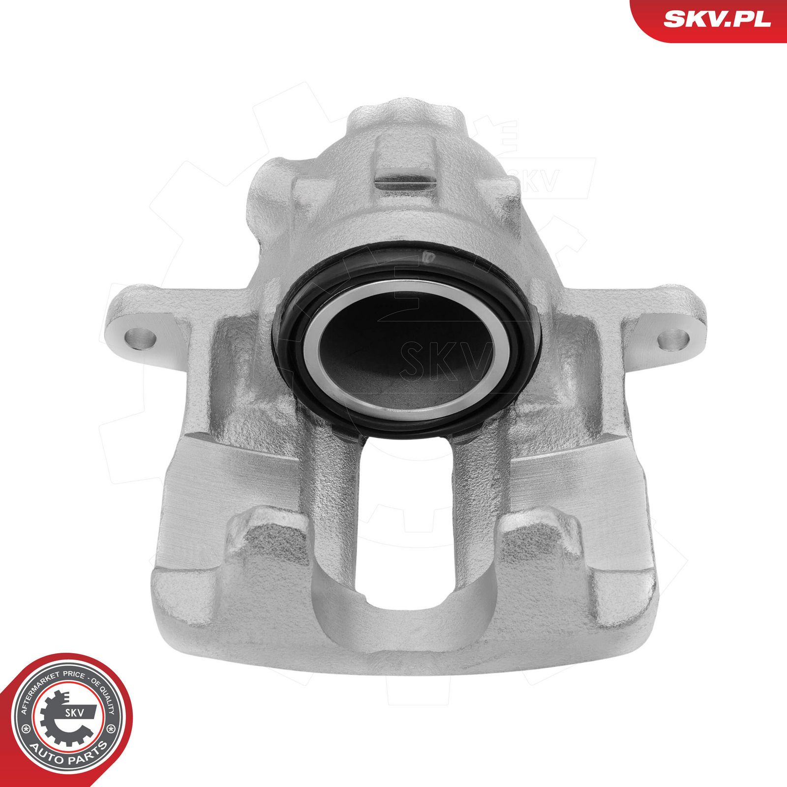 ESEN SKV 79SKV541 Brake caliper